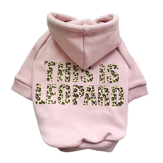 Cozy Companions Matching Pet And Owner Sweater