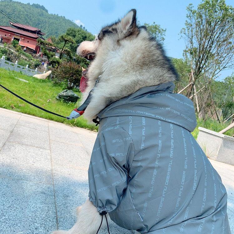 Pet Shield — The Weatherproof Reflective Raincoat Your Pup Deserves