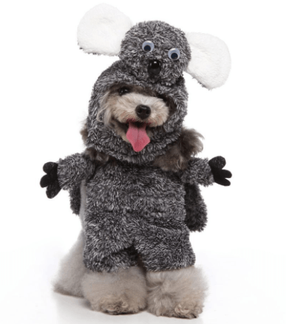 Funny Cartoon Dog Dress-Up Costume