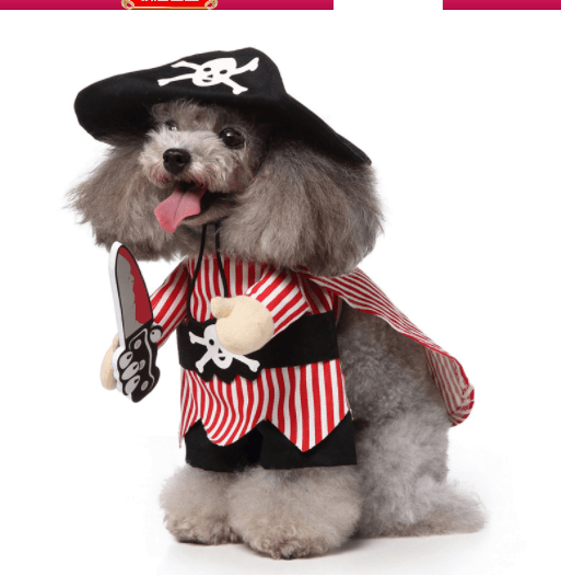 Funny Cartoon Dog Dress-Up Costume