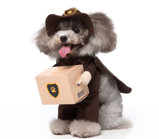 Funny Cartoon Dog Dress-Up Costume