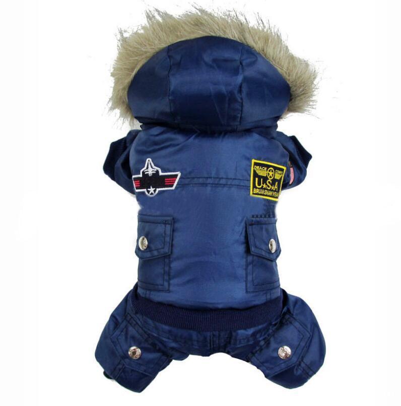 Dog wearing a blue jacket with patches on a white background