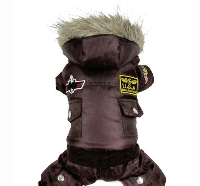 Brown dog coat with patches on a white background