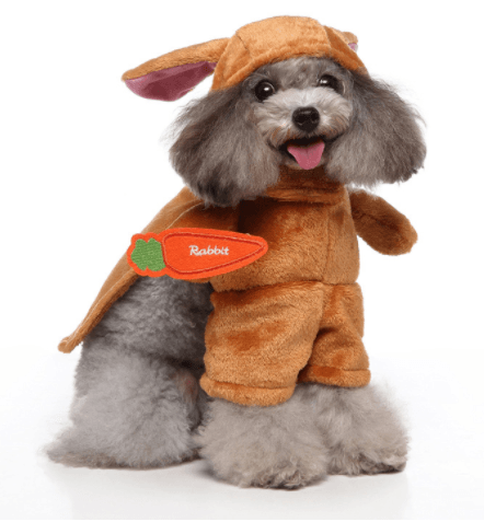 Funny Cartoon Dog Dress-Up Costume